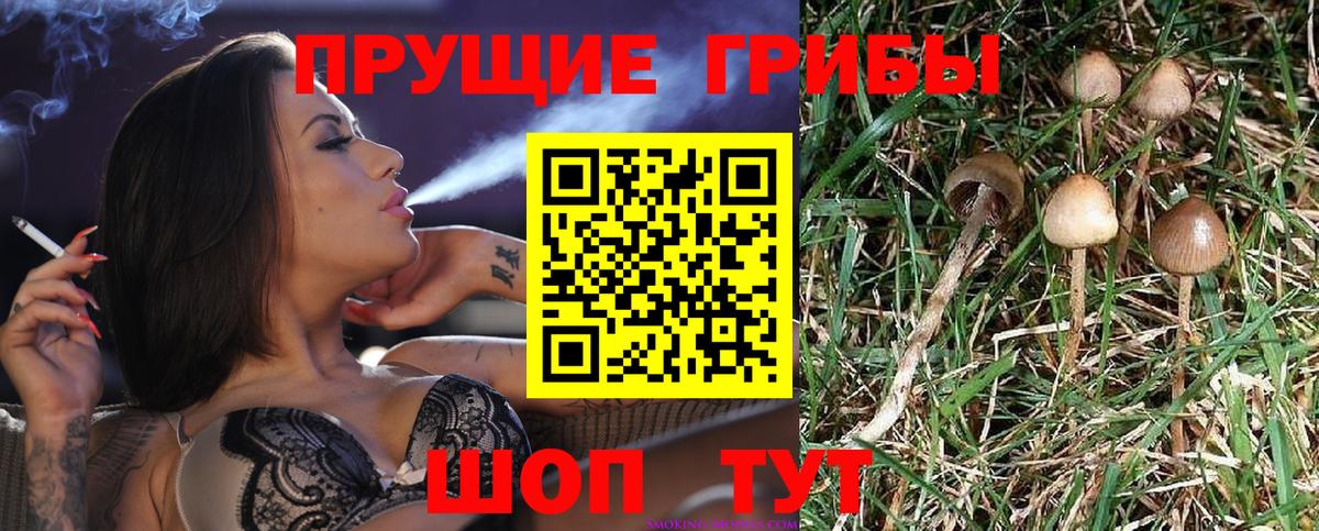 Изобильный  продажа наркотиков  Вход с VPN  Галлюциногенные грибы мицелий 