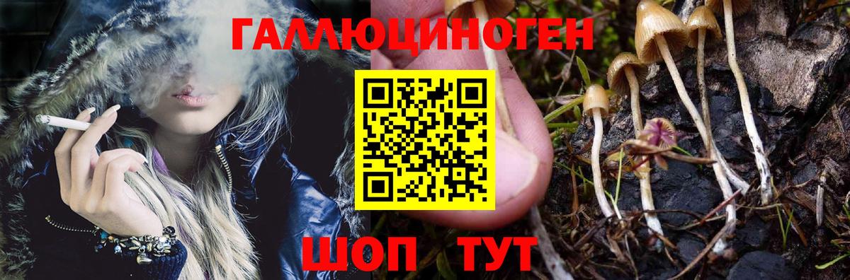 Галлюциногенные грибы ЛСД Изобильный